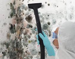 Mold Remediation for Vacation Homes in Mishawaka, IN